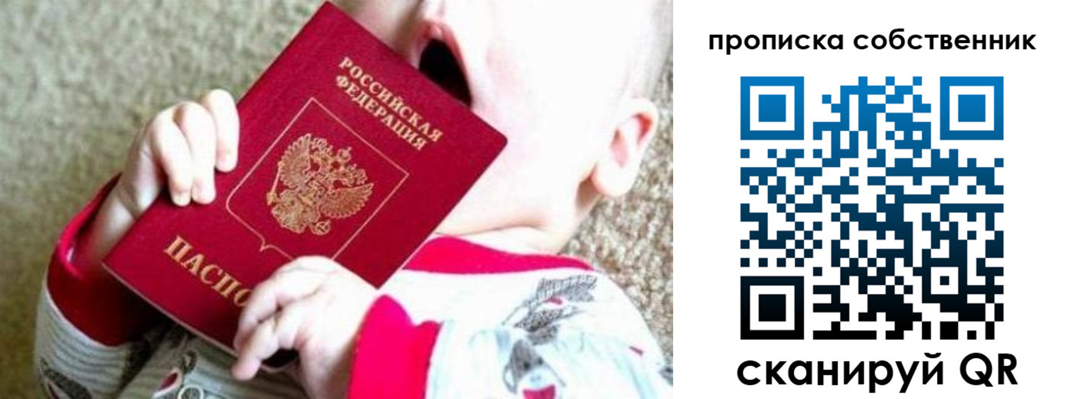 прописка для школы в Новгородской области